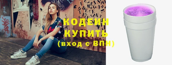 индика Богданович