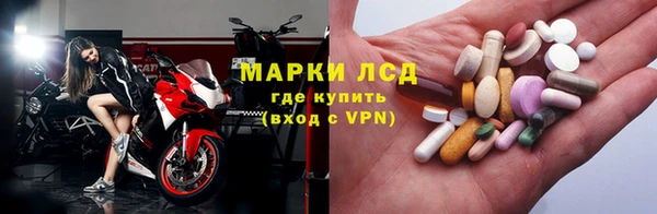 PSILOCYBIN Беломорск