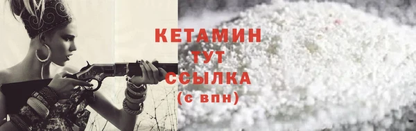 индика Богданович