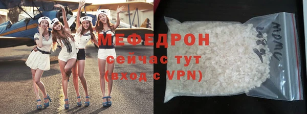 индика Богданович