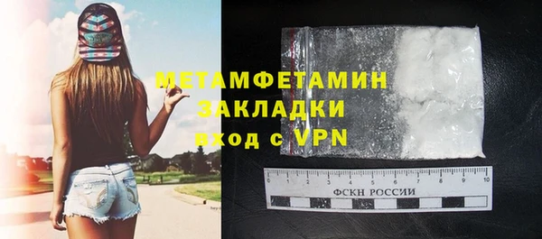 индика Богданович