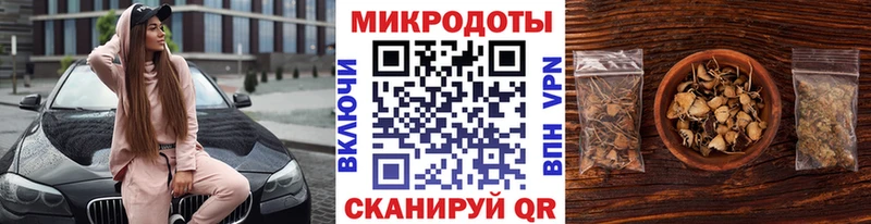 закладка  Гатчина  Галлюциногенные грибы мицелий 