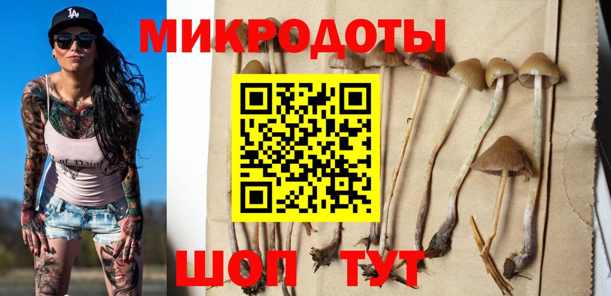 Галлюциногенные грибы ЛСД  Вход с VPN  Гатчина  Псилоцибиновые грибы Psilocybine cubensis 